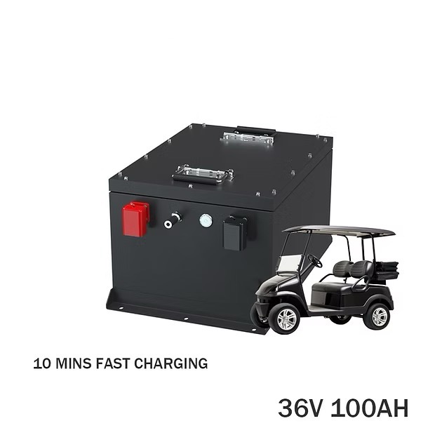 08--vx_20260602145252_83_43 36V 100Ah Electric Golf Cart Battery Pack System - Image 1
