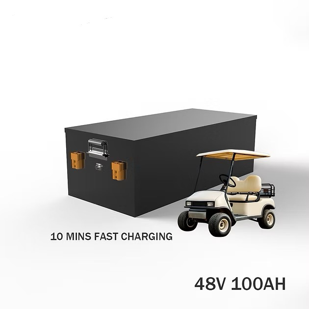 12--vx_20260602145257_87_43 48V 100Ah Electric Golf Cart Battery Pack System - Image 1