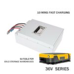 36V LTO Electric AGV Battery Pack System