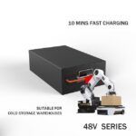 48V 21Ah NCM Electric AGV Battery Pack System