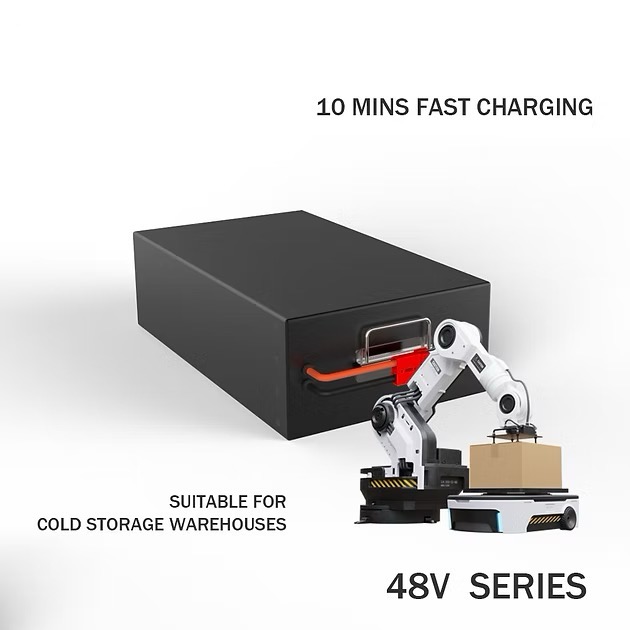 17--vx_20260602151651_127_43 48V 21Ah NCM Electric AGV Battery Pack System - Image 1
